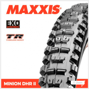 maxxis minion 3.8